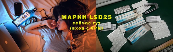 сатива Алзамай