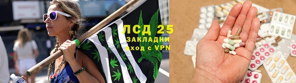 сатива Алзамай