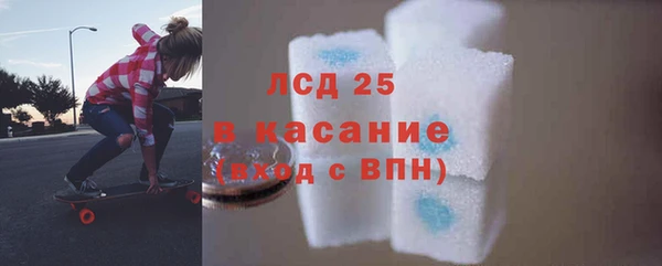 сатива Алзамай