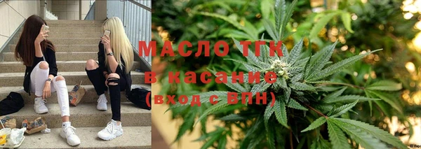 сатива Алзамай